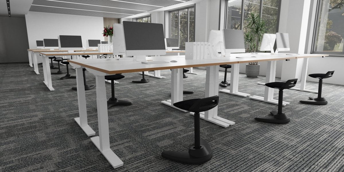 Dynamic Back to Back Height Adjustable Desk - THATSMYOFFICE
