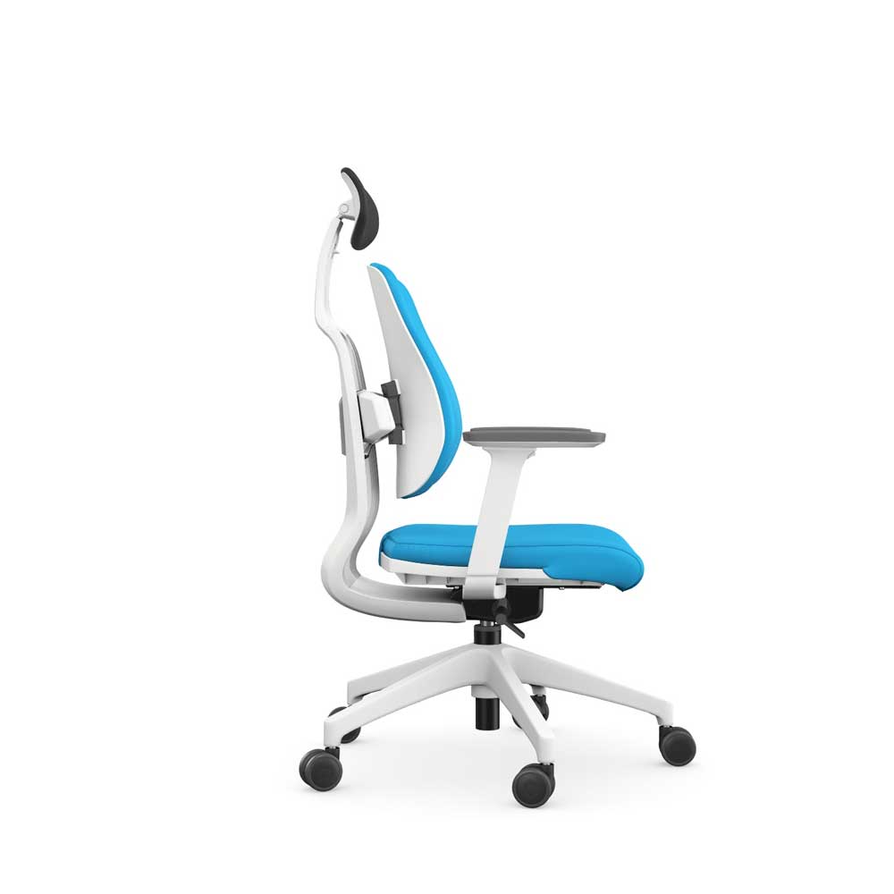 Dual-backrests] Duorest Alpha - Ergonomic Office Chair, Home