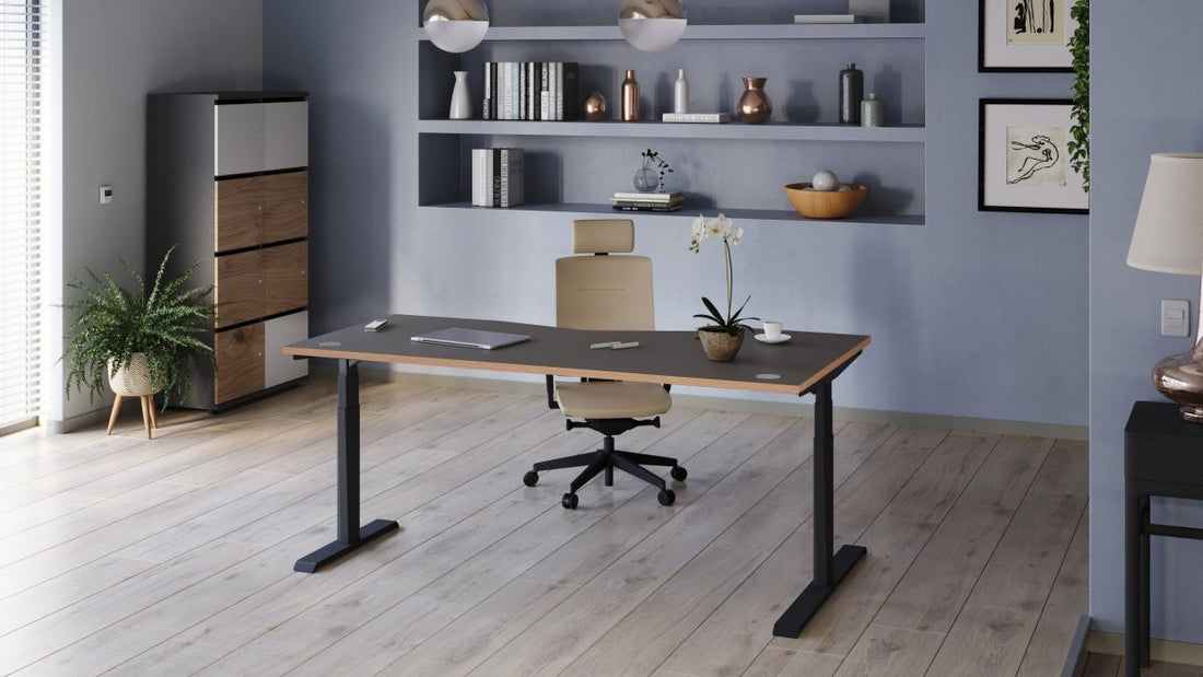 Ideal Home Office Setup - THATSMYOFFICE