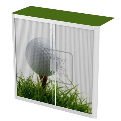 ThatsMyOffice Sport Tambour Cupboard 100cm H with 2 shelves EOTAM1M - SportPicture Tambour Cupboard