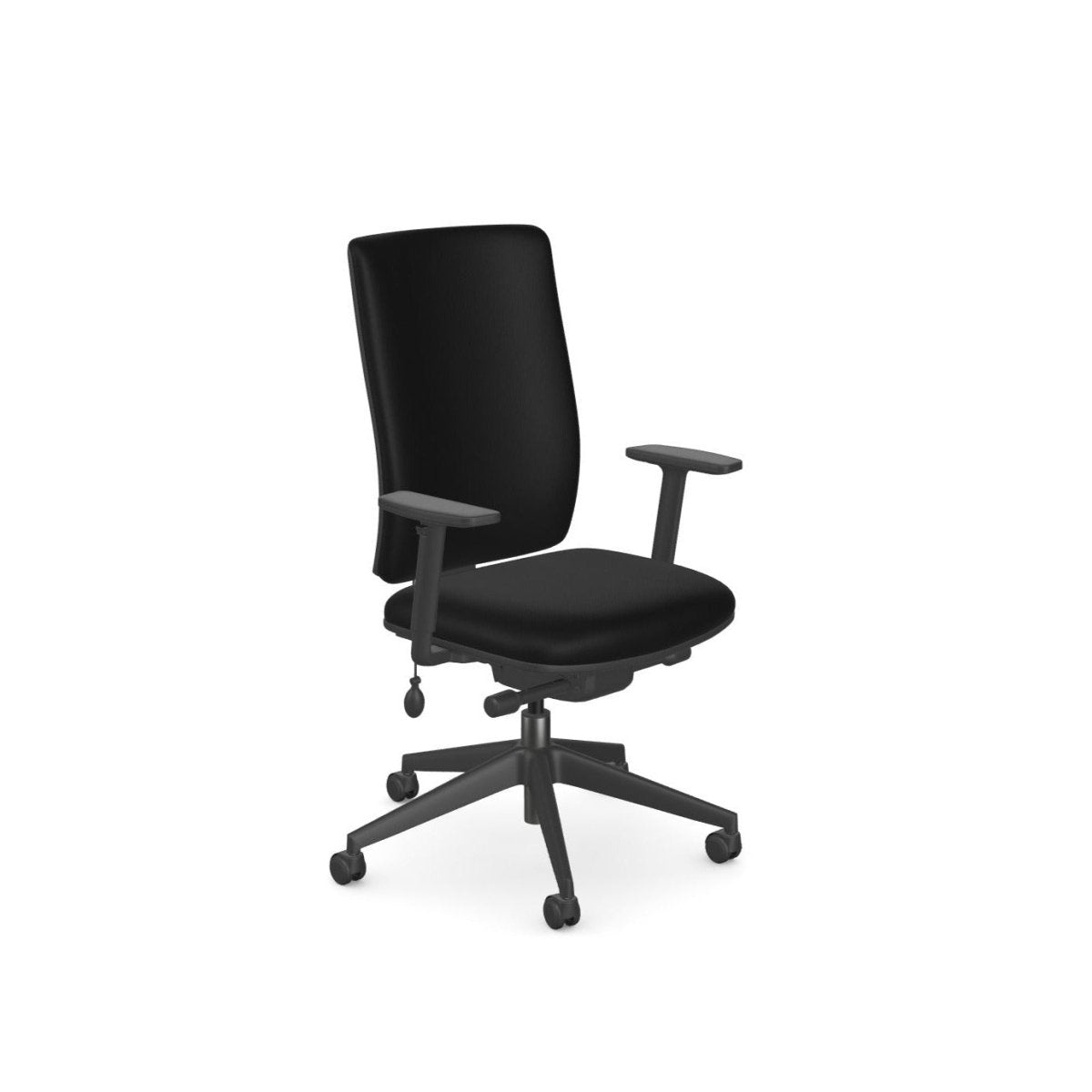Eirgo Advanced Office Chair, High Back, ErgonomicThat’s My Office Furniture, 360 Degree View storage, desk, chair