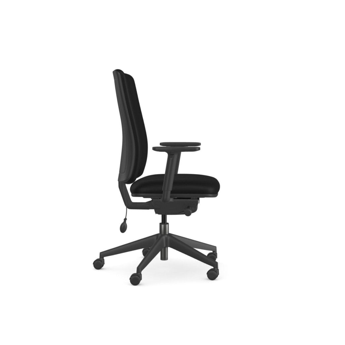 Eirgo Advanced Office Chair, High Back, ErgonomicThat’s My Office Furniture, 360 Degree View storage, desk, chair