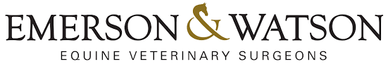 Logo of Emerson & Watson Equine Veterinary Surgeons with a gold and black design.