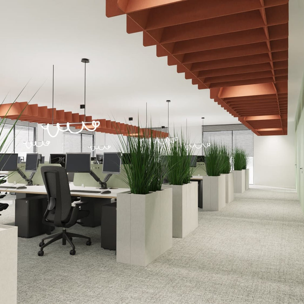 Create a Calmer, More Inspired Workspace with Koala Acoustic Ceiling Grids