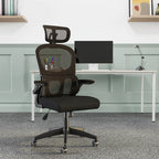Iris Task Operator Mesh Back Fabric Seat Office Chair With Headrest
