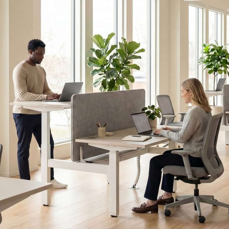 Two-person sit-stand height adjustable desk in office