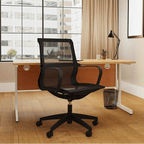 Lula Medium Mesh Back Executive Office Chair with Arms