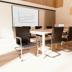 Office Chair Echo Medium Back Visitor Leather Cantilever with Arms