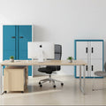 Two storage cabinets with blue and white doors on a white background