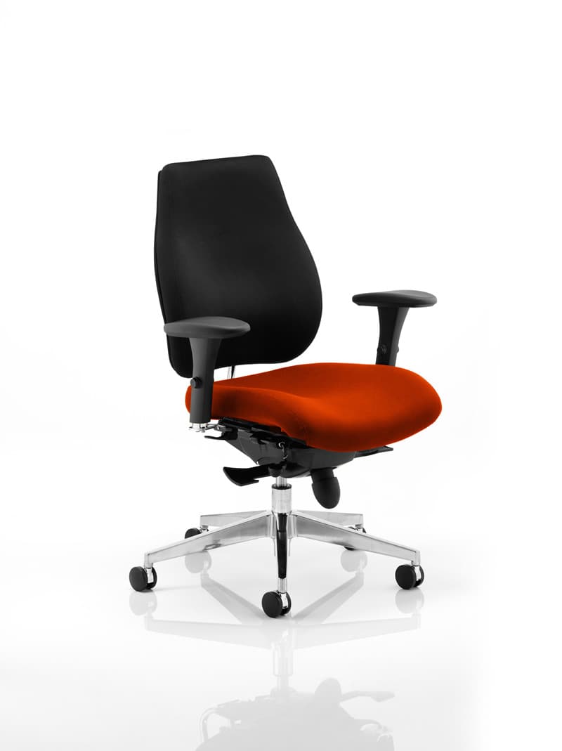 Office furniture chiro-plus-posture-chair-bespoke Dynamic  Bespoke Stevia Blue  Black 