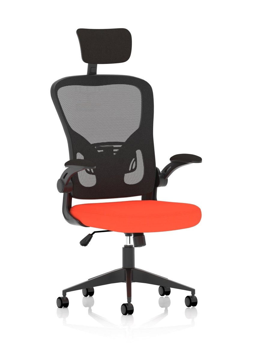 Office furniture ace-executive-mesh-chair-with-folding-arms Dynamic   Colour  