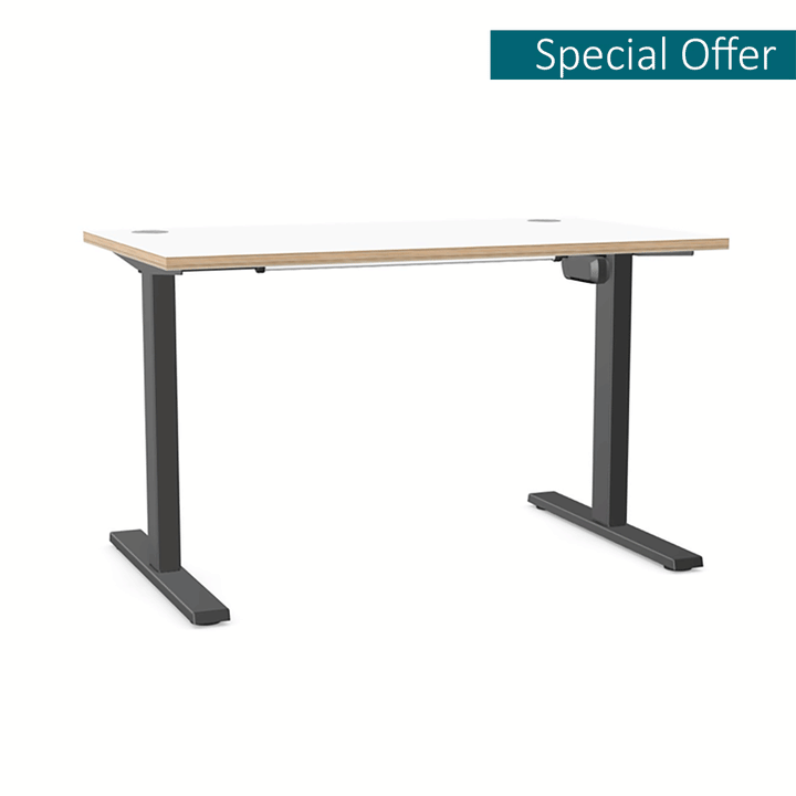 Height Adjustable Desk | Up Down | Sit Stand| Electric Motor ...