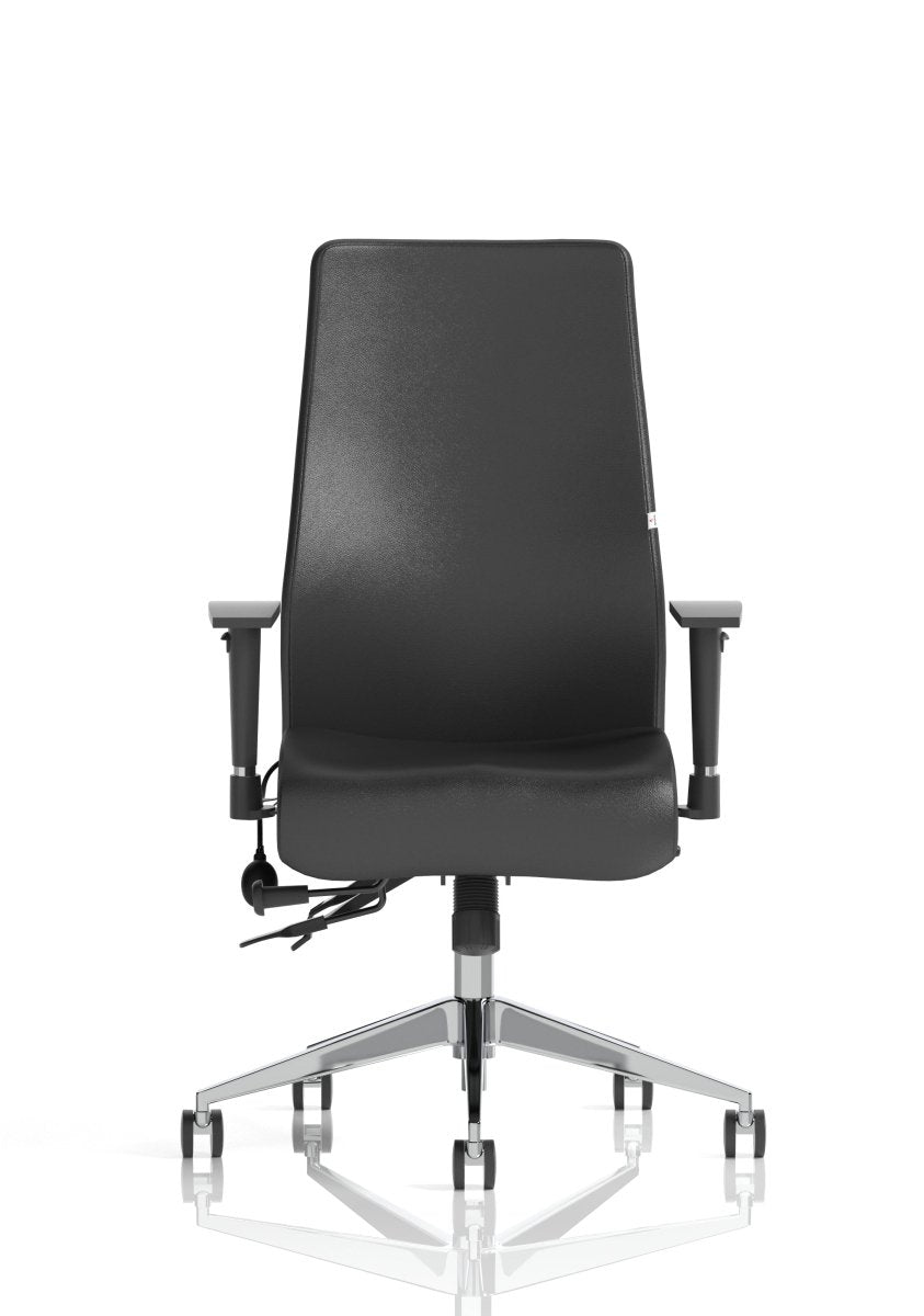 Office furniture onyx-ergo-posture-chair-with-headrest Dynamic  Bespoke Ginseng Chilli  Black With Headrest