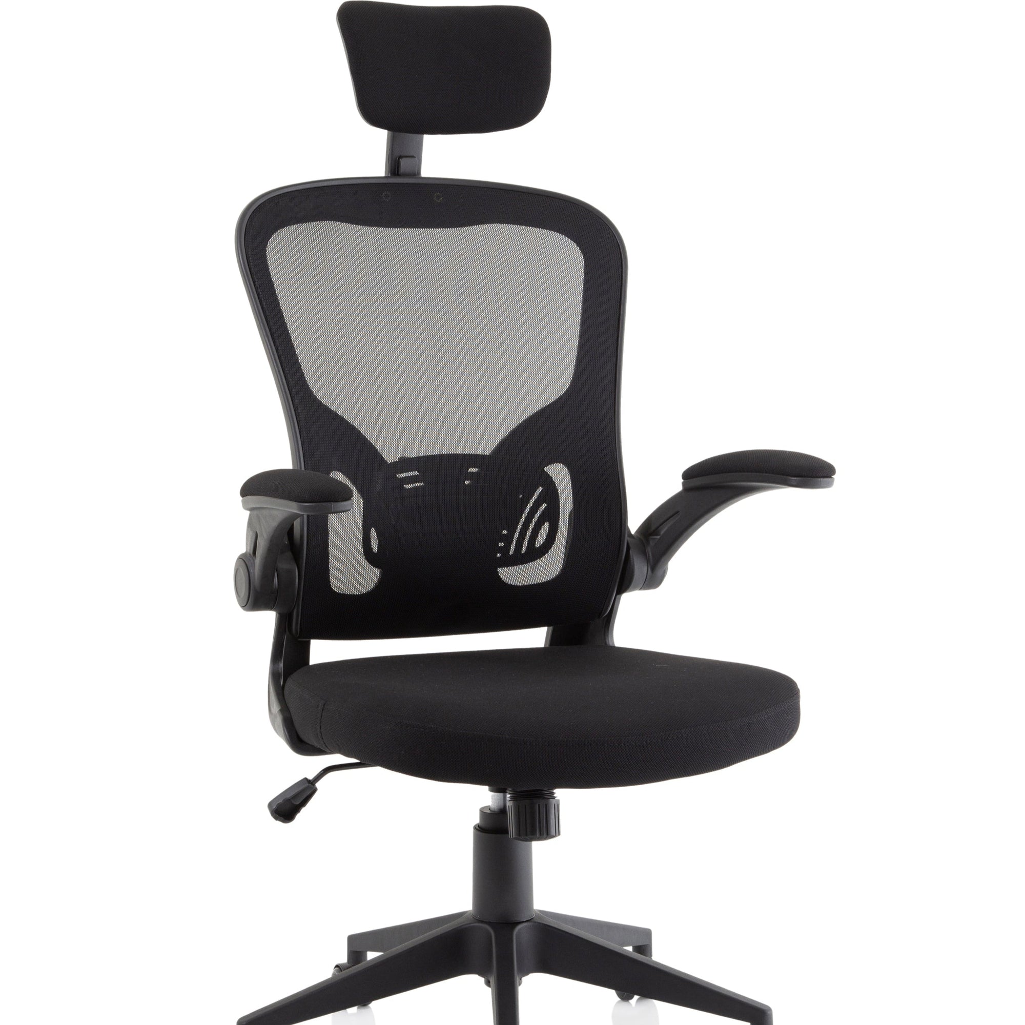 Office Chair Ace Executive MeshWith Folding Arms  Colour Black 