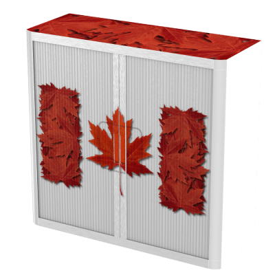Office  Tambour Flags Cupboard  100cm H with 2 shelves EOTAM1M-Flags 6 Office Furniture and Home Remote Working