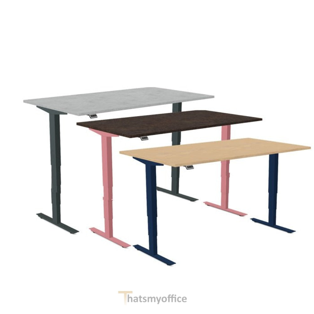 Lavoro Standing Desk Height Adjustable  | BADV14080-Grey