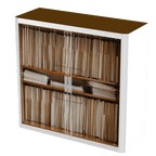 Office  Tambour Office Cupboard  100cm H with 2 shelves EOTAM1M-Office 7 Office Furniture and Home Remote Working