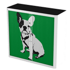 Office  Pop Art Tambour Cupboard  100cm H with 2 shelves EOTAM1M-Pop 1 Office Furniture and Home Remote Working