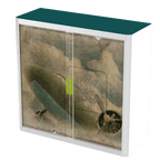 Office  Tambour Transport Cupboard  100cm H with 2 shelves EOTAM1M-Transport 8 Office Furniture and Home Remote Working