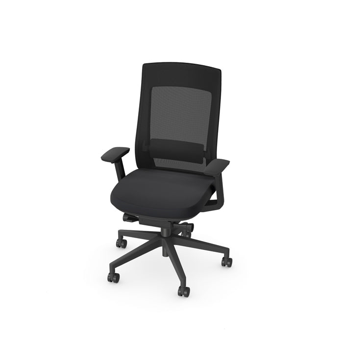 Office  X.22 Operative Chair, Black Base, Adj. Lumbar, Black mesh, black seat 4 Office Furniture and Home Remote Working